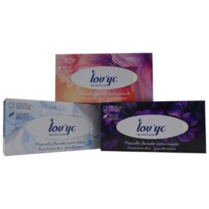 LOV'YC PAÑUELOS FACIALES CAJA 100 S